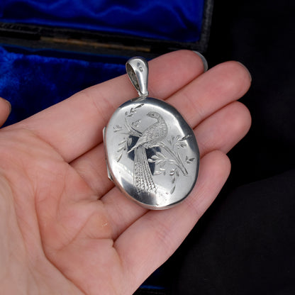 Antique Sterling Silver Oval Bird Engraved Photo Locket Pendant | Victorian 1879