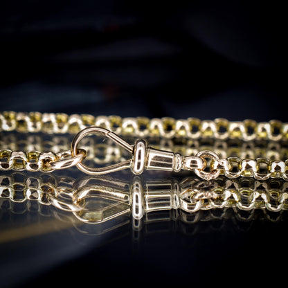 Antique Victorian 9ct Gold Chain Necklace with Dog Clip | 20.5"