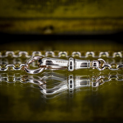 Antique Victorian 9ct Gold Faceted Link Chain Necklace with Dog Clip | 20"