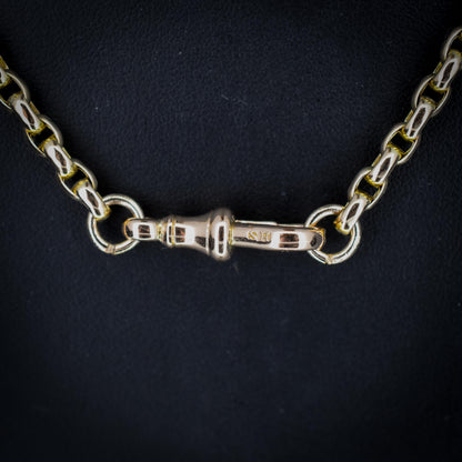Antique Victorian 9ct Gold Faceted Link Chain Necklace with Dog Clip | 21"