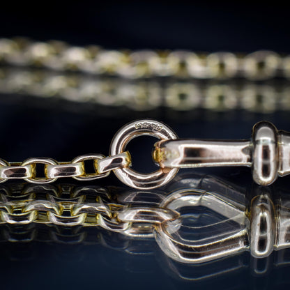 Antique Victorian 9ct Gold Faceted Link Chain Necklace with Dog Clip | 19.5"