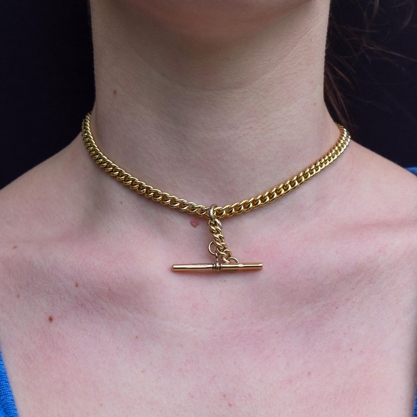 Vintage Rolled Gold Curb Albert Chain with T-Bar Slider and Double Dog Clips - 14.5"