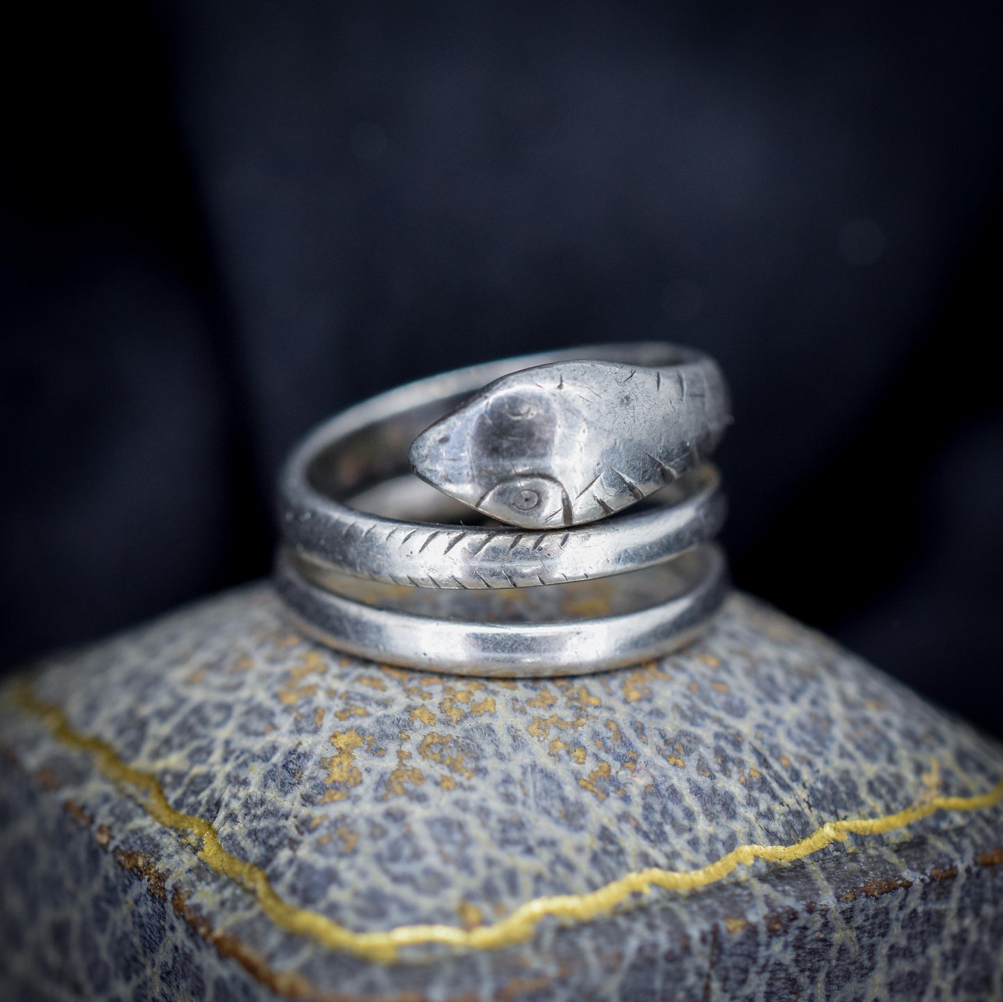 Antique French Snake Serpent Silver Coiled Dress Ring