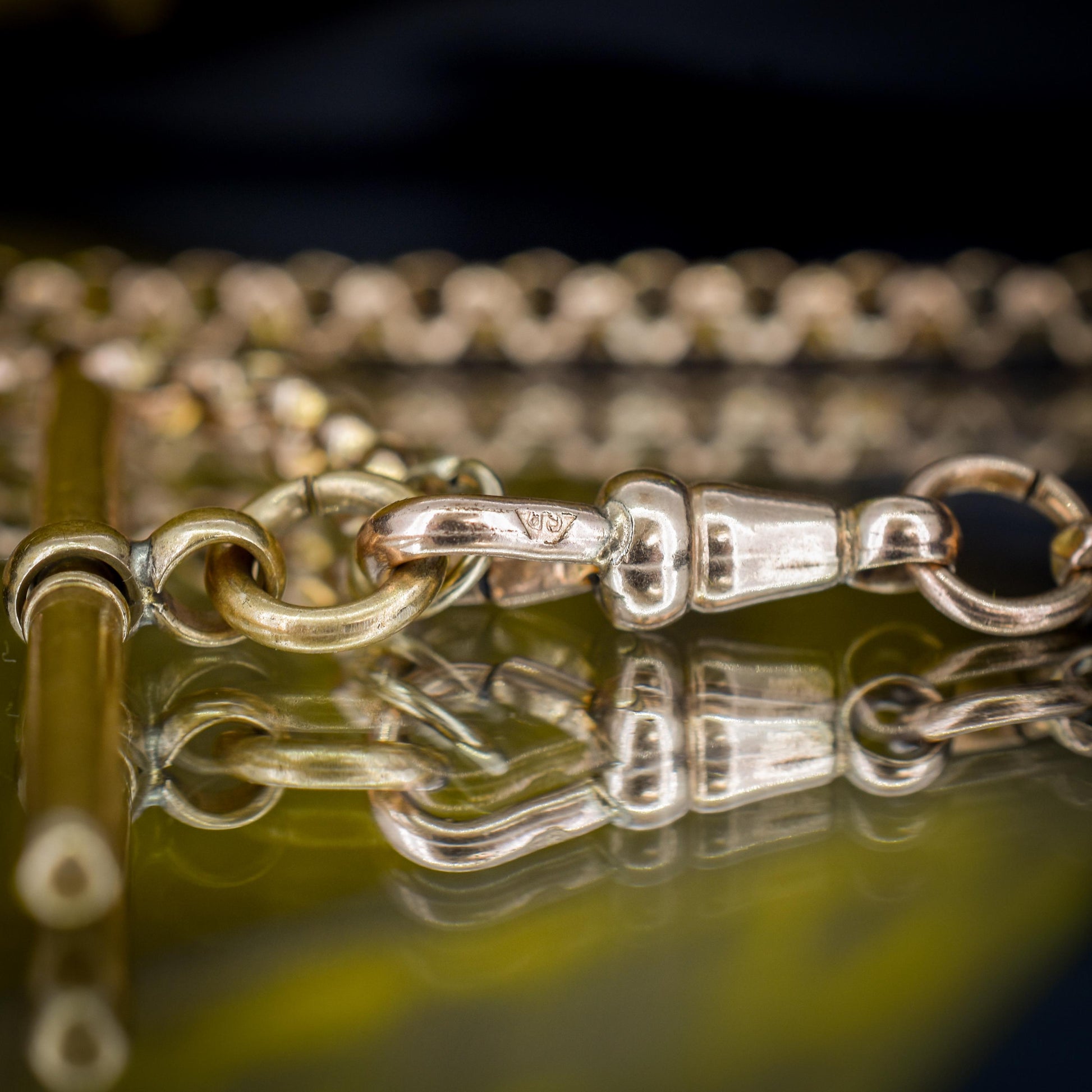 Antique Rolled Gold 35" Chain Necklace with Dog Clip and T-Bar