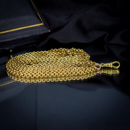 Antique Rolled Gold Rolo Link Guard Chain Necklace with Dog Clip | 52"
