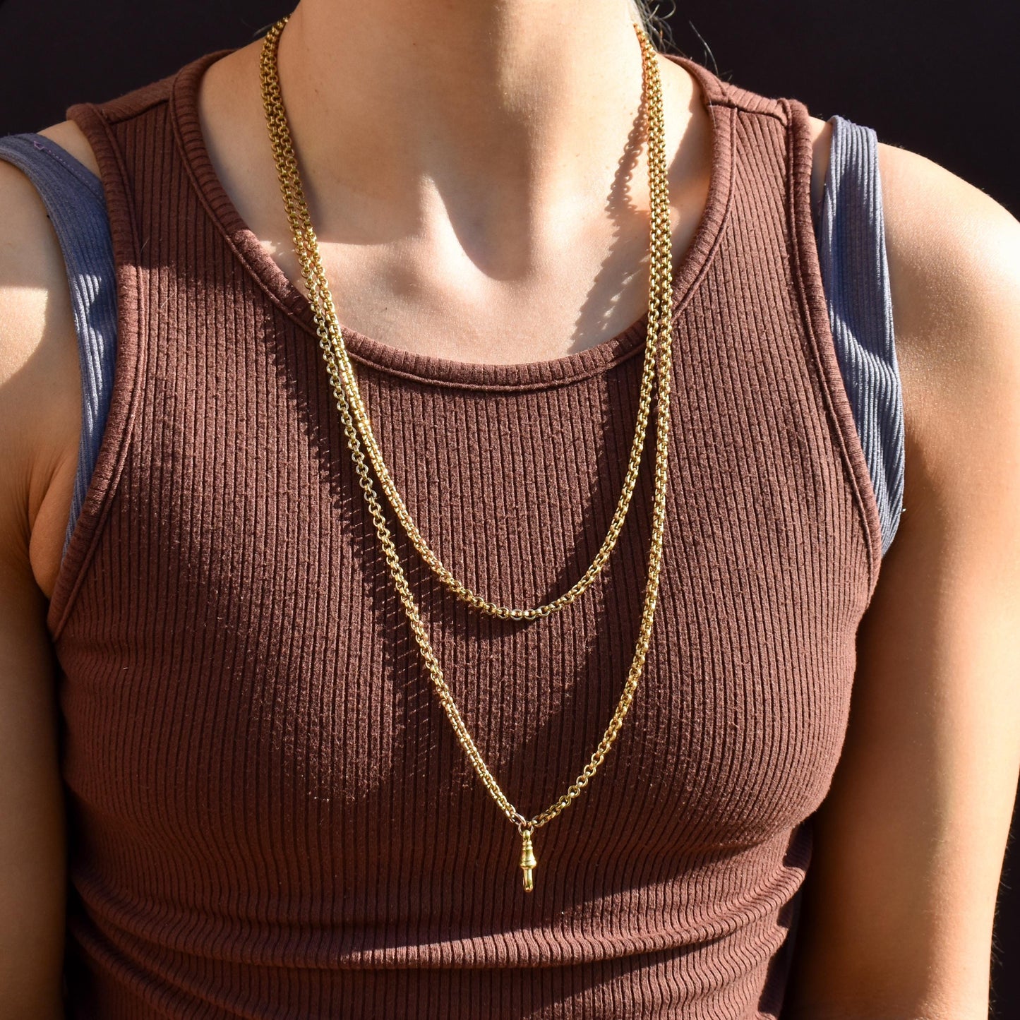 Antique Rolled Gold Rolo Link Guard Chain Necklace with Dog Clip | 52"