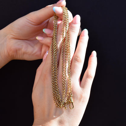 Antique Rolled Gold Rolo Link Guard Chain Necklace with Dog Clip | 54"