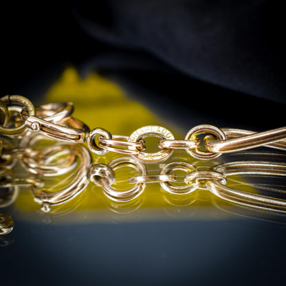 Antique Rolled Gold Curb Albert Watch Chain with Spinning Fob