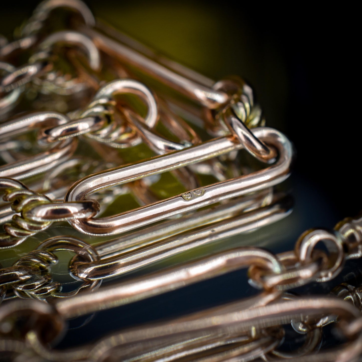 Antique 9ct Gold Trombone and Love Knot Link Albert Chain Necklace | 16"