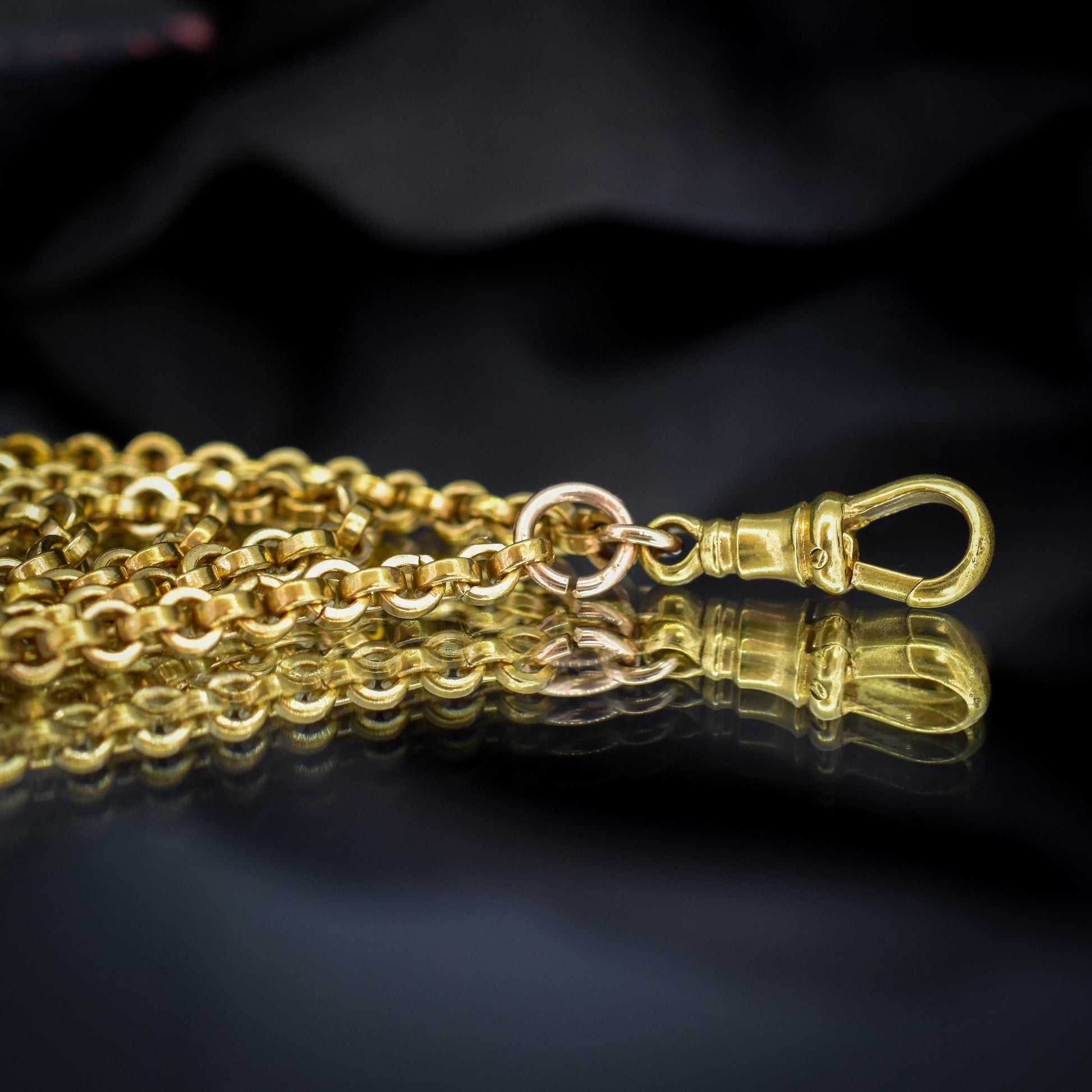 Antique Rolled Gold Rolo Link Guard Chain Necklace with Dog Clip | 52"