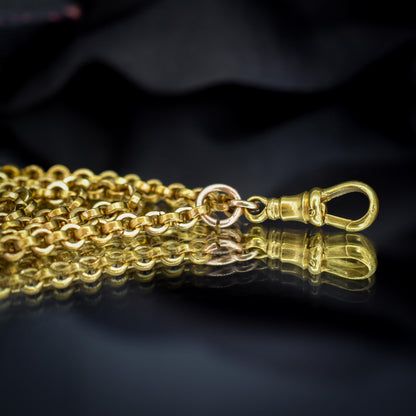Antique Rolled Gold Rolo Link Guard Chain Necklace with Dog Clip | 52"