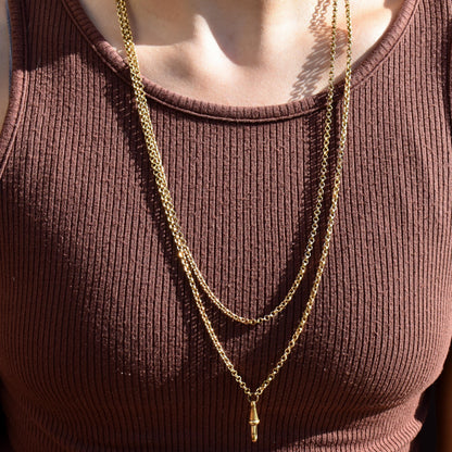 Antique Rolled Gold Rolo Link Guard Chain Necklace with Dog Clip | 54"