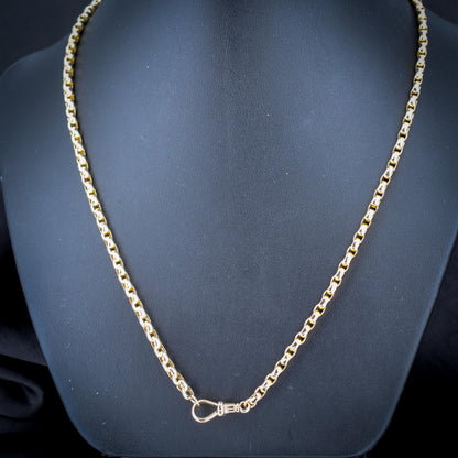Antique Victorian 9ct Gold Faceted Link Chain Necklace with Dog Clip | 20"