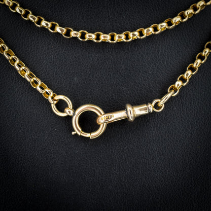Antique Victorian 9ct Gold Long Guard Chain Necklace (22.7g) 58"
