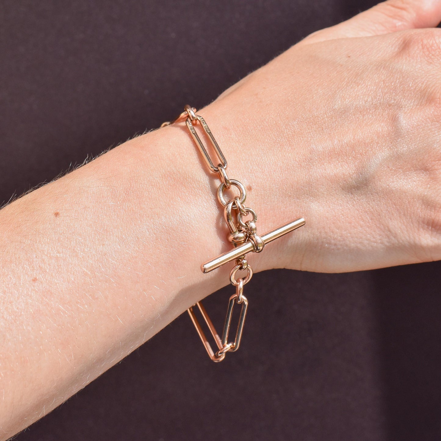 Antique Chester '1895' 9ct Gold Trombone Link Bracelet with Dog Clip and T-bar 7.75"