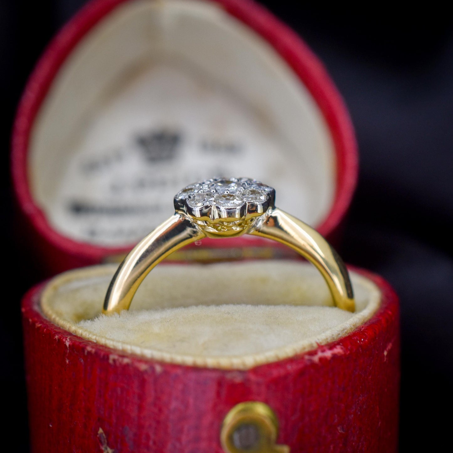 Antique Diamond Cluster Daisy 18ct Gold and Platinum Ring