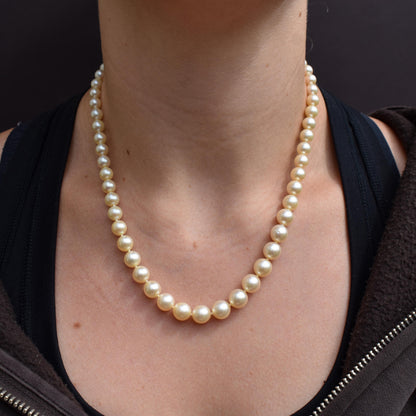 Vintage Graduated Pearl Gold Strand Beaded Necklace | 18"