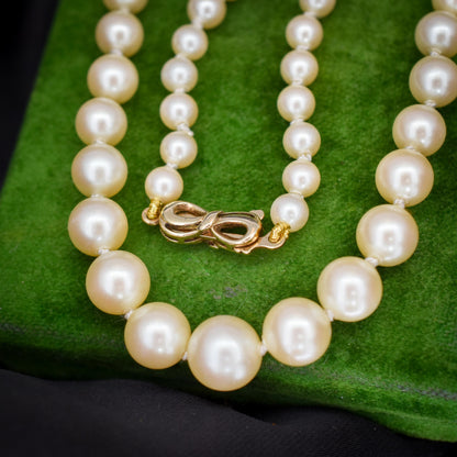 Vintage Graduated Pearl Gold Strand Beaded Necklace | 17"
