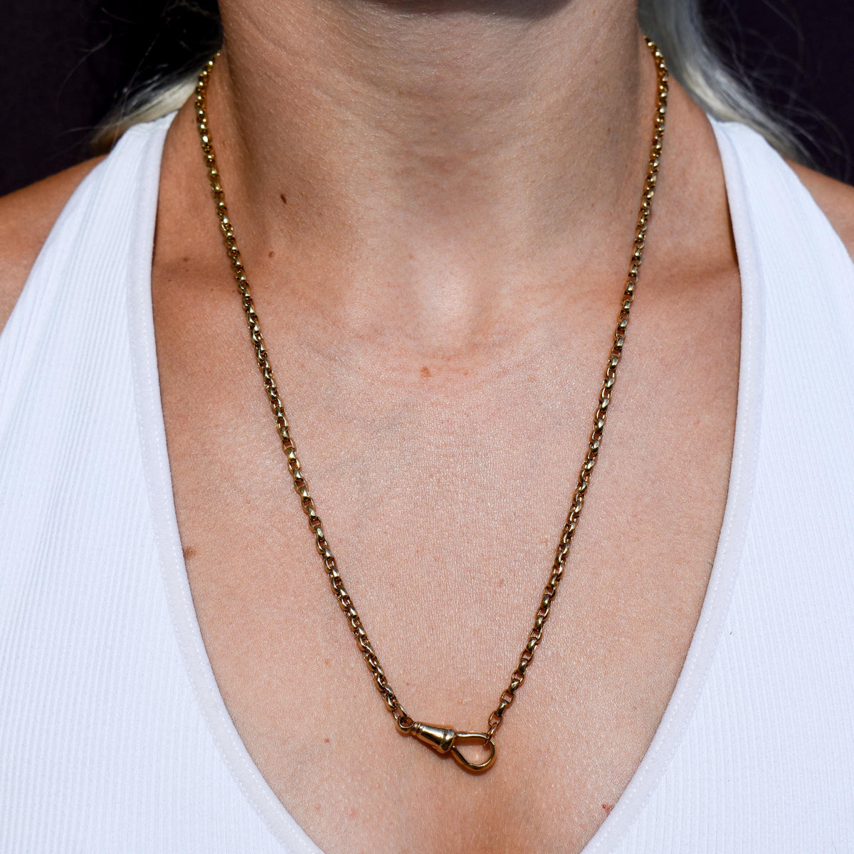Antique Victorian 9ct Gold Faceted Link Chain Necklace with Dog Clip | 21.25"