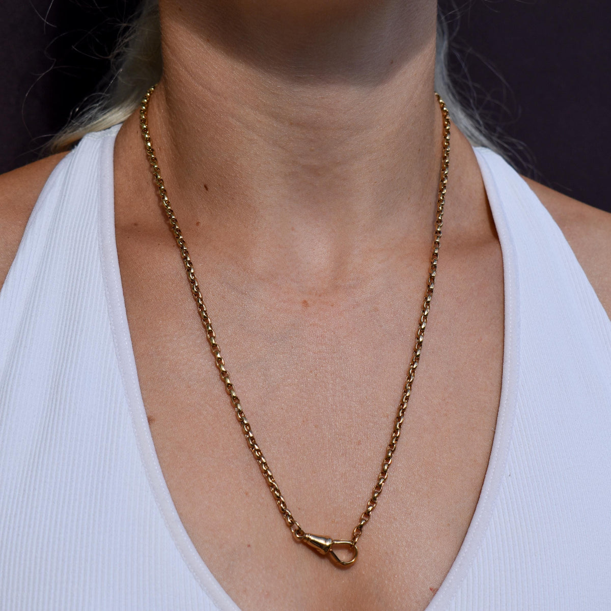 Antique Victorian 9ct Gold Faceted Link Chain Necklace with Dog Clip | 21.25"