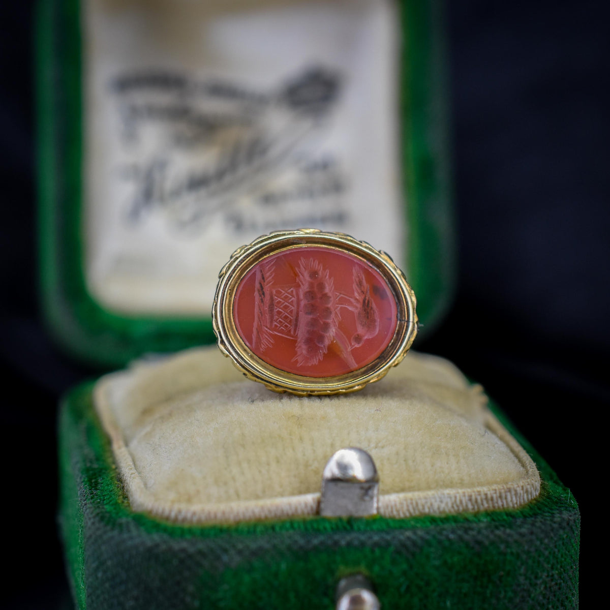 Antique Carnelian Mother Bird Intaglio Gold Cased Fob Seal Pendant | Georgian Victorian
