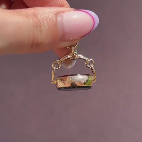 Antique Bloodstone and Carnelian 9ct Gold Spinning Swivel Fob Pendant | Dated 1889