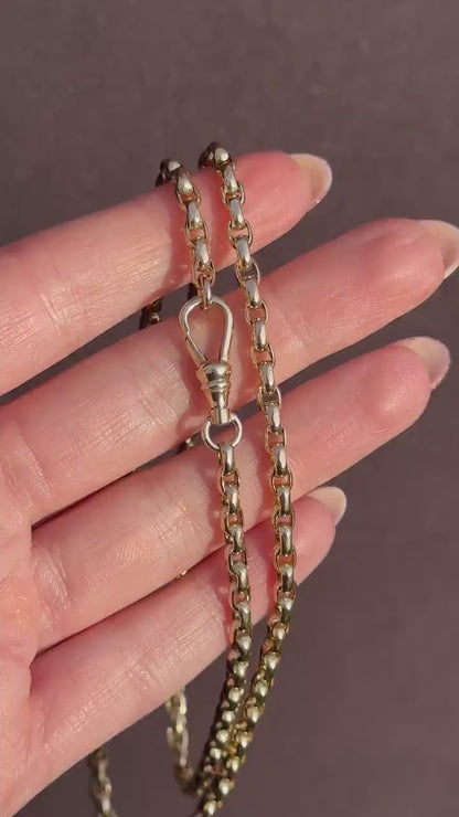 Antique Victorian 9ct Gold Faceted Link Chain Necklace with Dog Clip | 21"