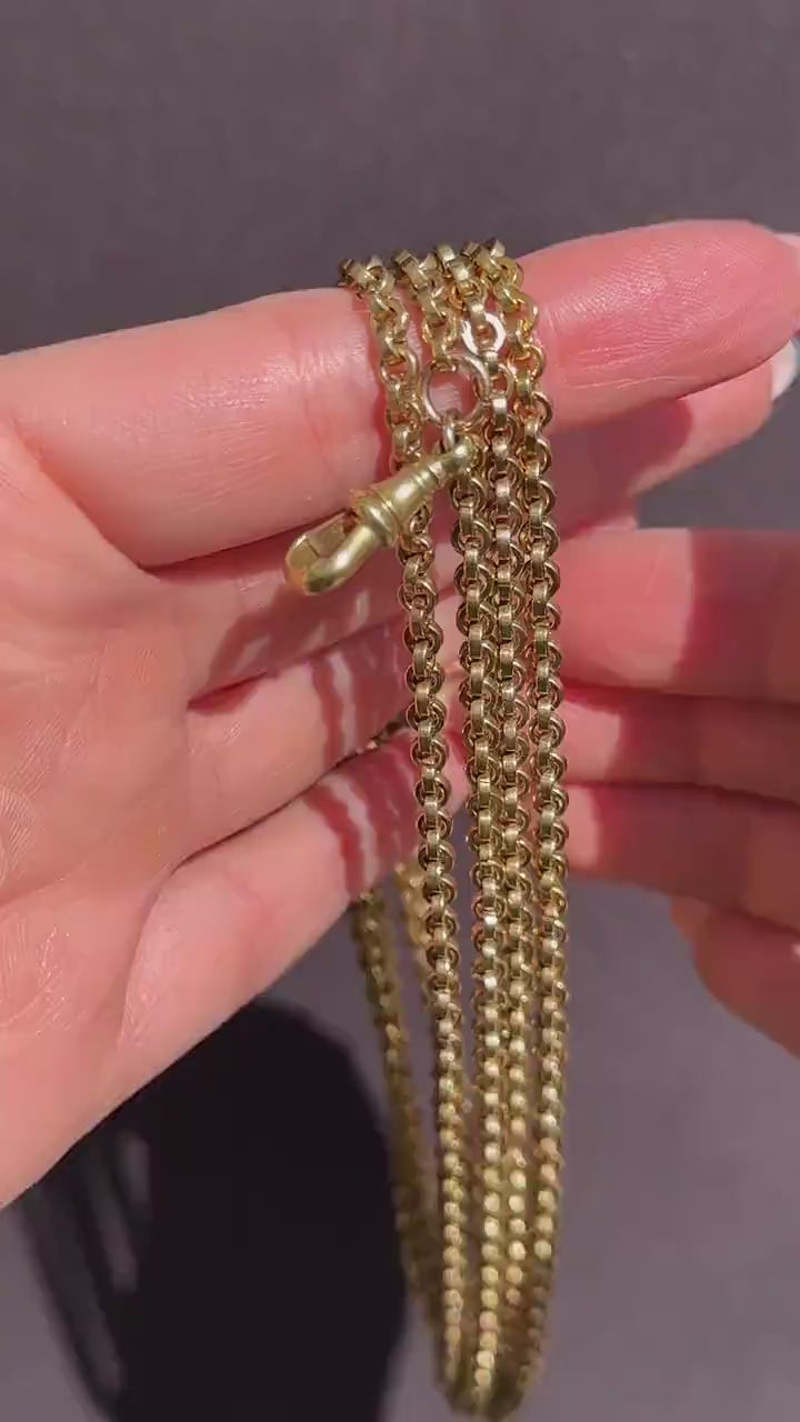 Antique Rolled Gold Rolo Link Guard Chain Necklace with Dog Clip | 52"