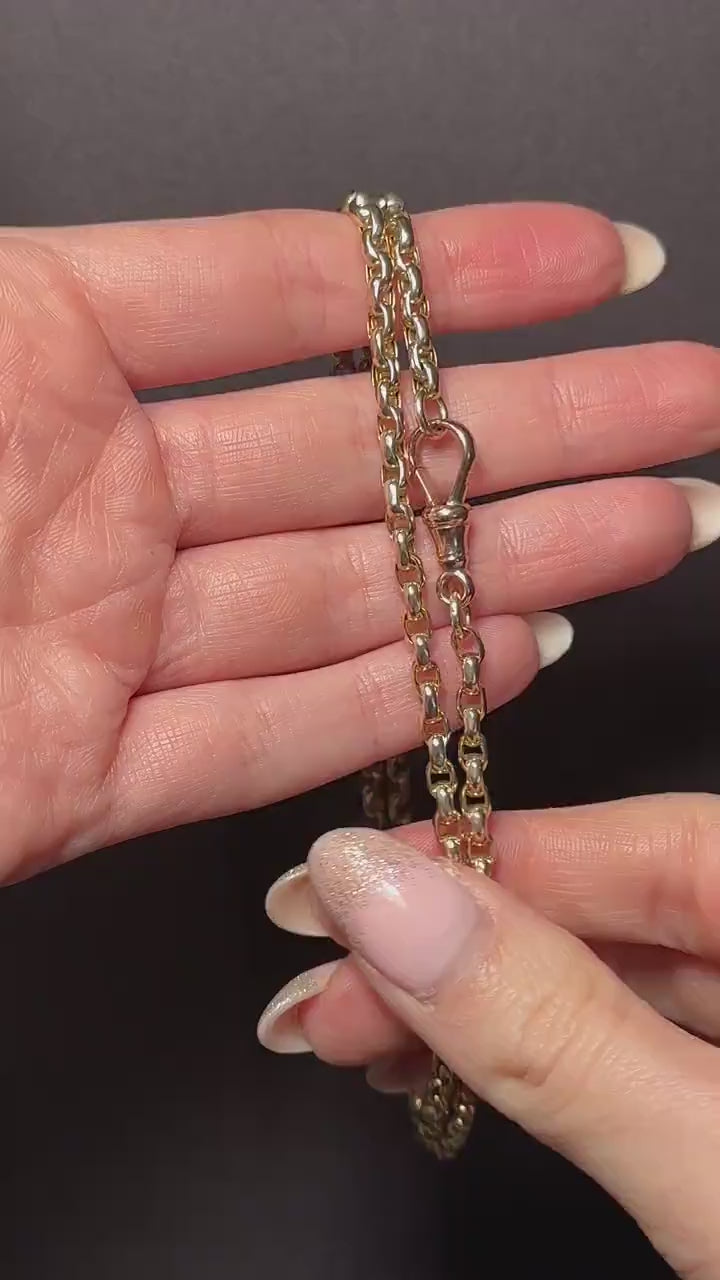 Antique Victorian 9ct Gold Faceted Link Chain Necklace with Dog Clip | 21.5"