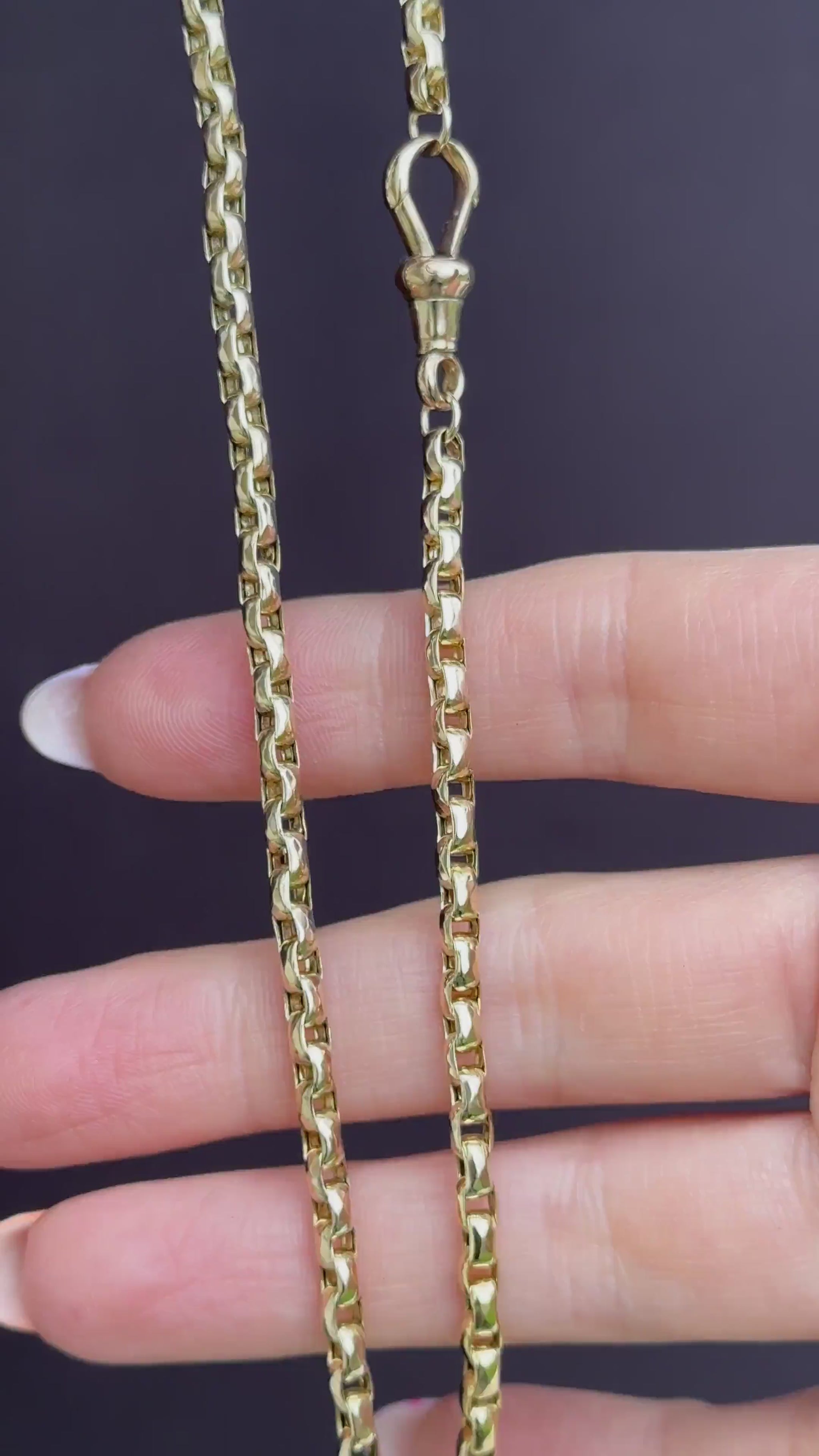 Antique Victorian 9ct Gold Faceted Link Chain Necklace with Dog Clip | 20"