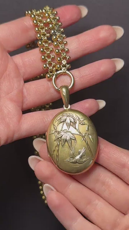 Antique Victorian Gold on Silver Locket and Collar Chain Necklace | Dated 1879