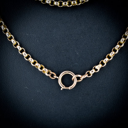 Antique Victorian 9ct Gold Long Guard Chain Necklace (28.1g) 59"