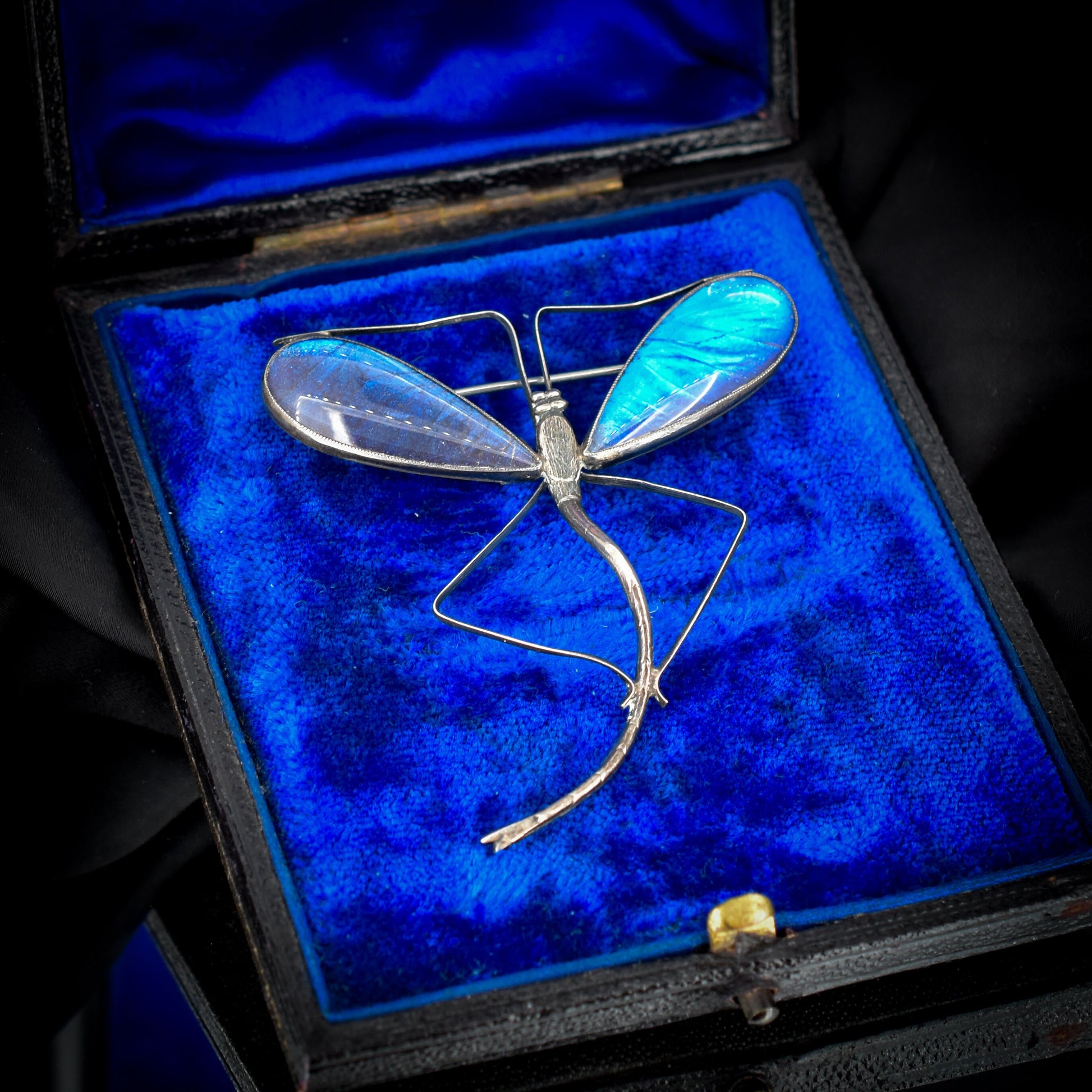 Antique Silver Butterfly Wing Dragonfly Brooch | Thomas Mott